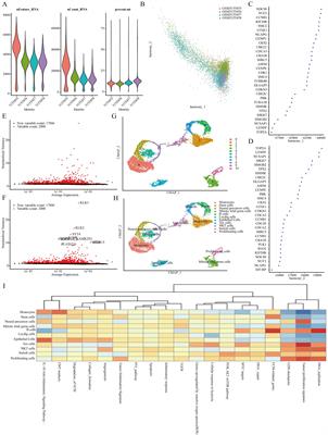 Identification of cancer stem cell-related genes through single cells and machine learning for predicting prostate cancer prognosis and immunotherapy